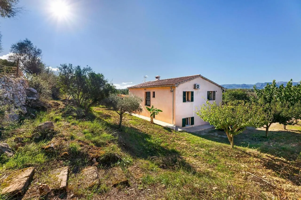 Holiday home Villa Son Allarga Costitx