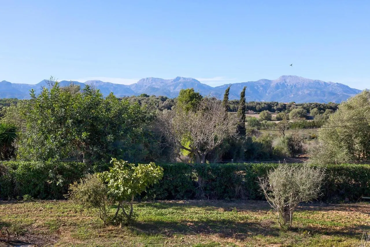 Holiday home Villa Son Allarga Costitx  Spain