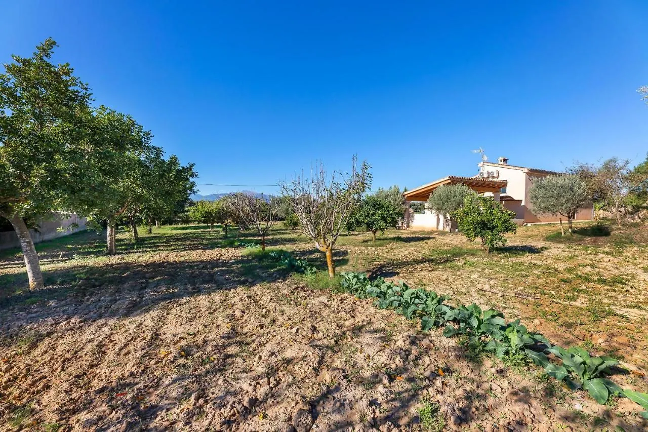 Villa Son Allarga Costitx  Costitx (Mallorca)